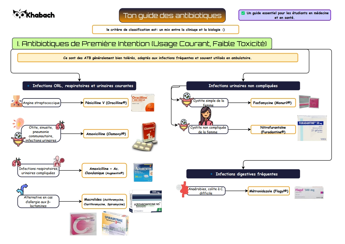Mindmap Preview 3